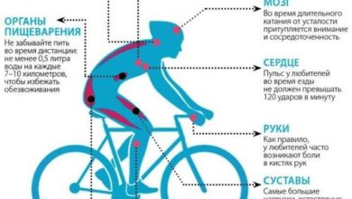 Photo of Влияние велоспорта на сердечно-сосудистую систему