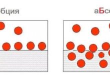 Photo of Высокая биодоступность и естественное качество