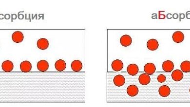 Photo of Высокая биодоступность и естественное качество
