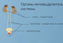 Photo of Что такое урофлоуметрия и почему важно знать её стоимость