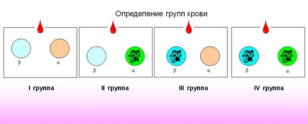 Группа крови норма реакции