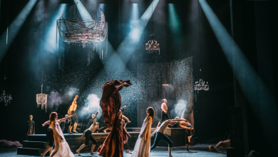 Photo of Разновидности театров: обзор