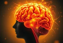 Photo of Удивительные факты о мозге и его развитии
